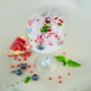 Cómo preparar un Gin Tonic